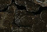 Septarian Dragon Egg Geode - Black Crystals #172818-2